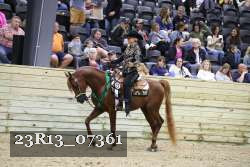 23R13_07361 thumbnail