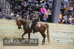 23R13_07363 thumbnail