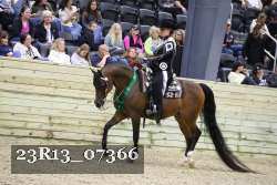 23R13_07366 thumbnail