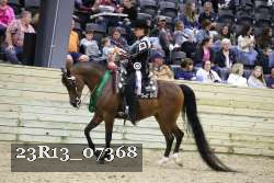 23R13_07368 thumbnail