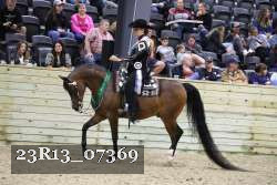 23R13_07369 thumbnail