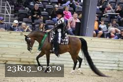 23R13_07370 thumbnail