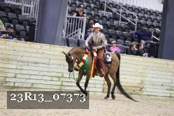23R13_07373 thumbnail