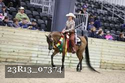 23R13_07374 thumbnail