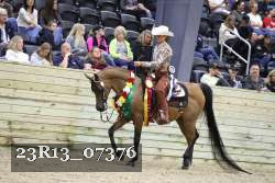 23R13_07376 thumbnail