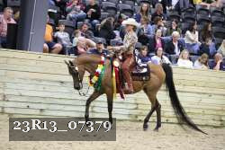 23R13_07379 thumbnail