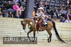 23R13_07380 thumbnail