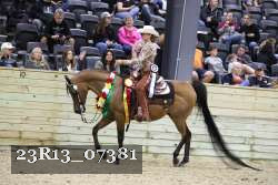 23R13_07381 thumbnail
