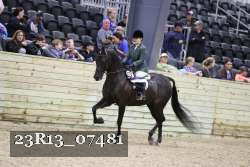 23R13_07481 thumbnail