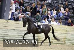 23R13_07483 thumbnail
