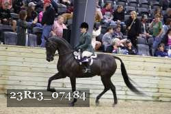 23R13_07484 thumbnail