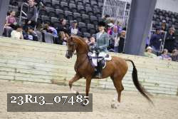 23R13_07485 thumbnail