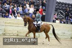 23R13_07486 thumbnail
