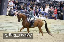 23R13_07487 thumbnail