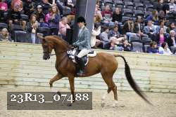 23R13_07488 thumbnail