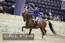 23R13_07490 thumbnail