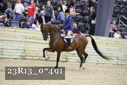 23R13_07491 thumbnail