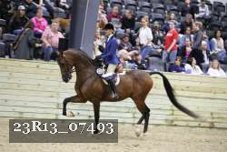 23R13_07493 thumbnail