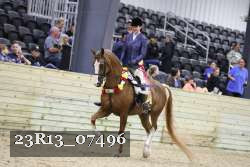 23R13_07496 thumbnail