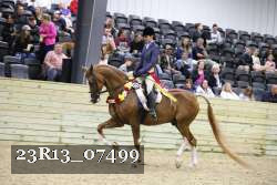 23R13_07499 thumbnail