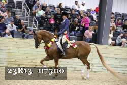 23R13_07500 thumbnail