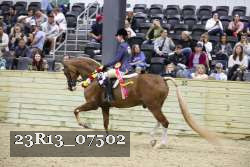23R13_07502 thumbnail