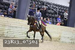 23R13_07504 thumbnail