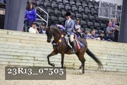 23R13_07505 thumbnail