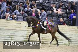 23R13_07507 thumbnail