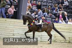 23R13_07508 thumbnail