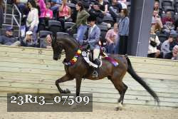 23R13_07509 thumbnail