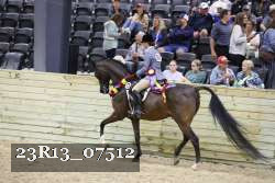 23R13_07512 thumbnail