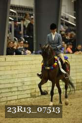 23R13_07513 thumbnail