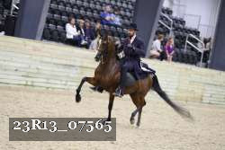 23R13_07565 thumbnail