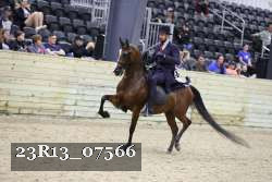 23R13_07566 thumbnail