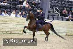 23R13_07567 thumbnail