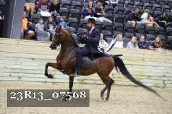 23R13_07568 thumbnail