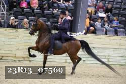23R13_07569 thumbnail