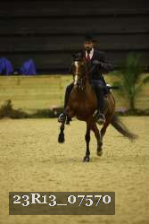 23R13_07570 thumbnail