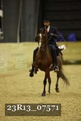 23R13_07571 thumbnail