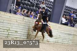 23R13_07573 thumbnail