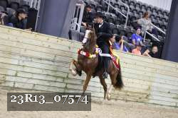 23R13_07574 thumbnail
