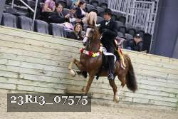 23R13_07575 thumbnail