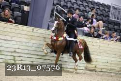 23R13_07576 thumbnail