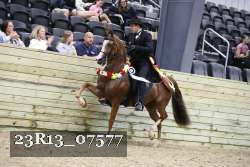 23R13_07577 thumbnail