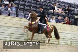 23R13_07578 thumbnail