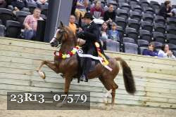 23R13_07579 thumbnail