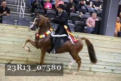 23R13_07580 thumbnail