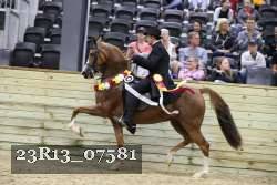 23R13_07581 thumbnail