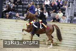 23R13_07582 thumbnail